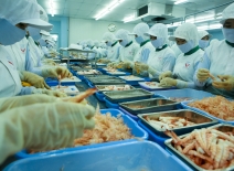 Seafood processing