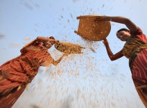 Image courtesy of the ILO