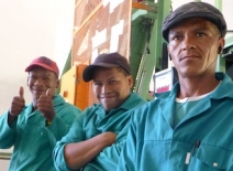 Male farm workers, South Africa