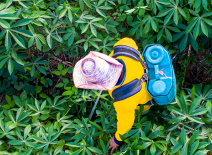 Crop spraying, arial, 2000x340