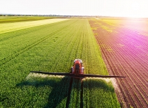 Farm agriculture field