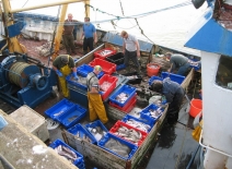 Fishermen unloading their catch at the pier at Portmagee; photocredit: WikiCommons.