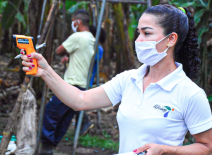 Female banana plantation workers performing COVID temparature checks, Colombia