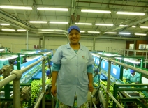 Female fruit packing house supervisor, South Africa