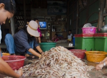 Prawn peeling shed, Thailand