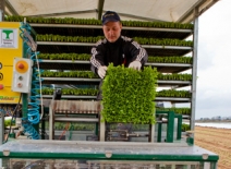 Agricultural worker, UK