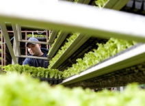 Agriculture workers, UK