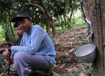 Child rubber plantation workers in Indonesia