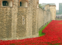 Poppy installation, Blood Swept Lands and Seas of Red, Tower of London 2014