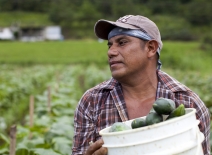 Migrant worker