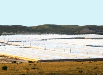 Vegetables and fruits crops in plastic greenhouses in Nijar , Almeria, Spain. Photo credit: Gena Melendrez/ Shutterstock.
