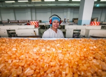 A woman machine operator smiles at an assembly line in Bayan-Sulu modern confectionery factory. Photo credit: Shutterstock.