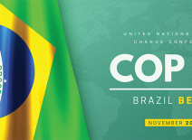COP30 illustration, featuring the flag of Brazil