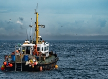 Commercial Fishing Trawler On The Calm Water Of The Atlantic Ocean In Scotland, UK. Photo credit: Shutterstock.