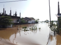 Muthur, Sri Lanka, November 30th 2025 - Flooded houses surrounded by murky water. Photo credit: Shutterstock. 