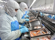 Processing shrimp & seafood