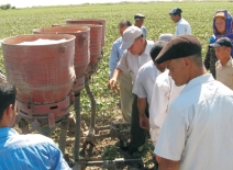 Growing cotton in Turkmenistan courtesy of UNDP