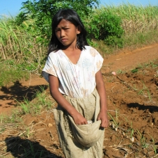 indonesia