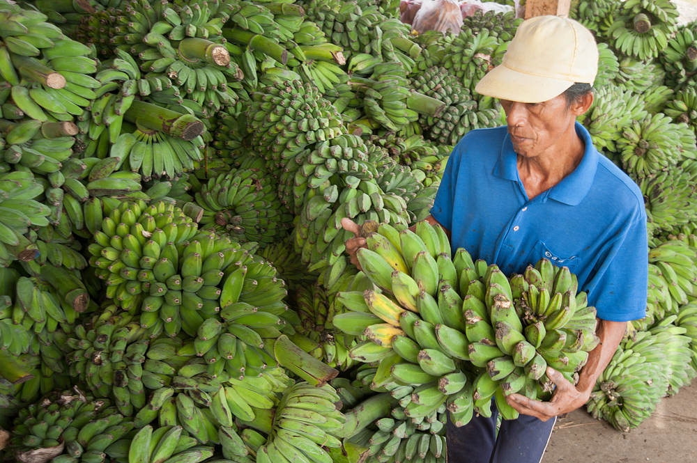 Resilience through responsible practice